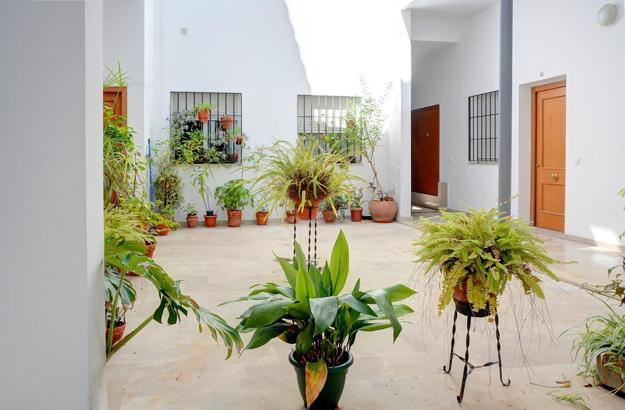 Estudio Plaza De La Encarnacion Sevilla Kültér fotó